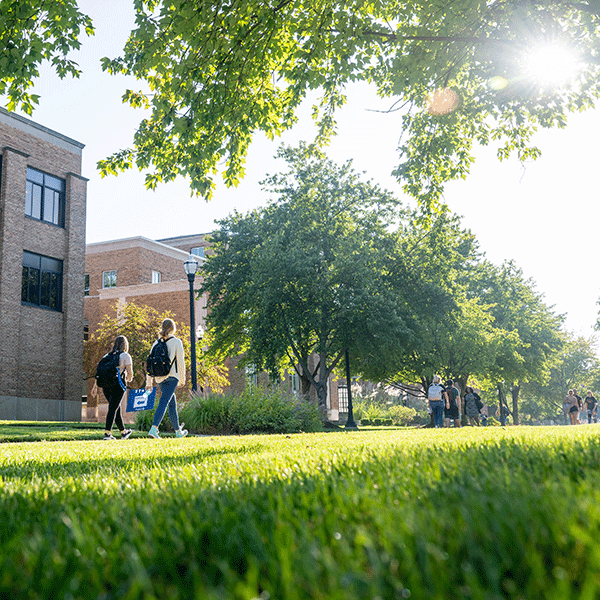 Students walking along a pathway on campus with a close up view of grass in the foreground